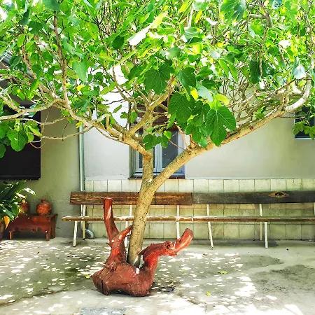度假居 Casa De La Luz *